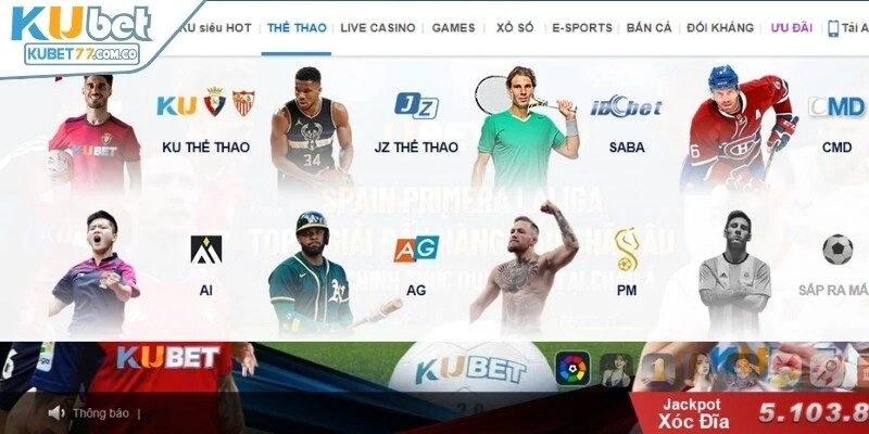Cá cược thể thao nhận được sự yêu thích từ người tham gia